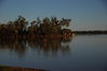 Lake Maraboon Almost Dark Emerald QLD.jpg