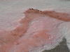 Pink Salt Crystals.jpg